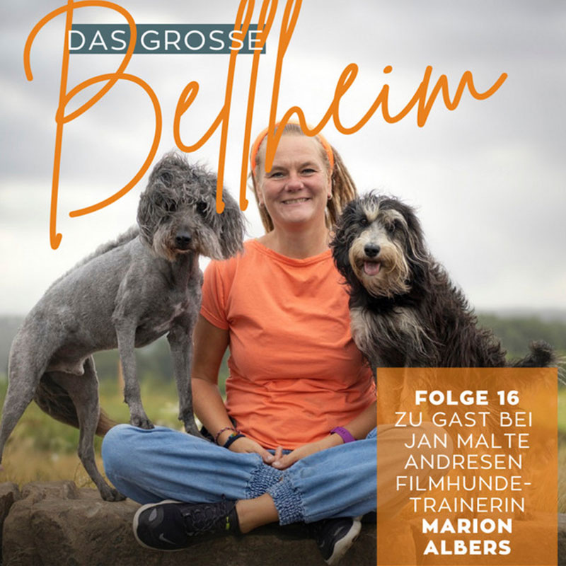 Das Große Bellheim - Die gute Hunde-Unterhaltung: Talk, Musik und Service